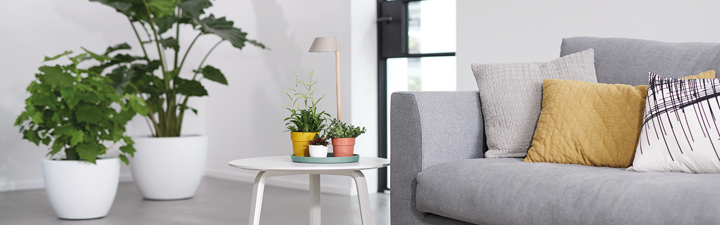 plant light care 11cm glacier grey